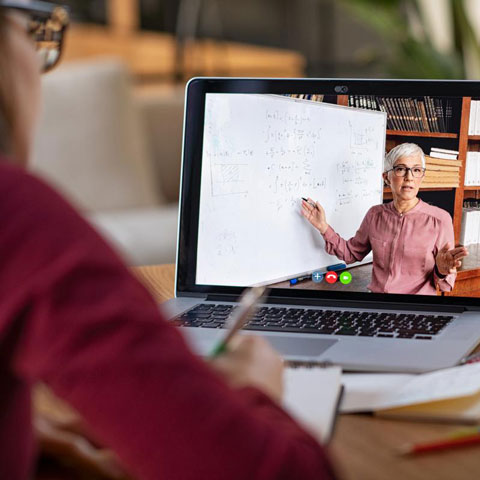 A virtual college professor working with a student remotely.