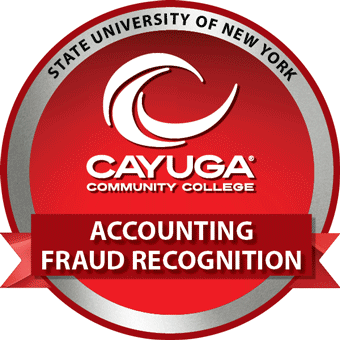 Accounting Fraud Recognition