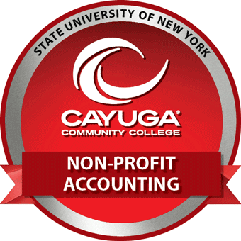 Non-Profit Accounting