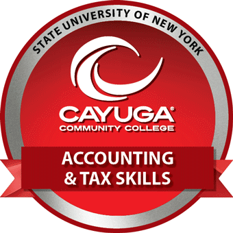 Accounting & Tax Skills
