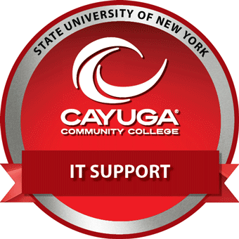IT Support