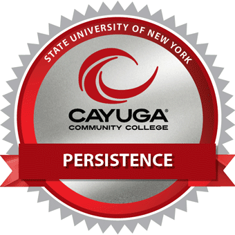 Persistence