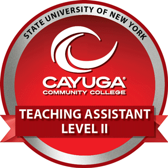 Teaching Assistant Level II