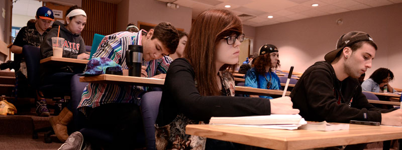 Students in a lecture hall during class