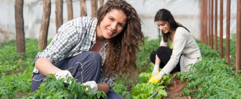 Women in a greenhouse planting