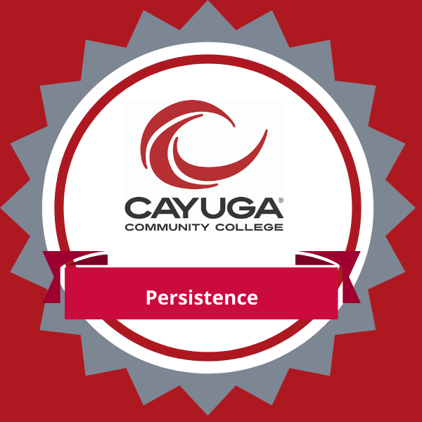 Persistence