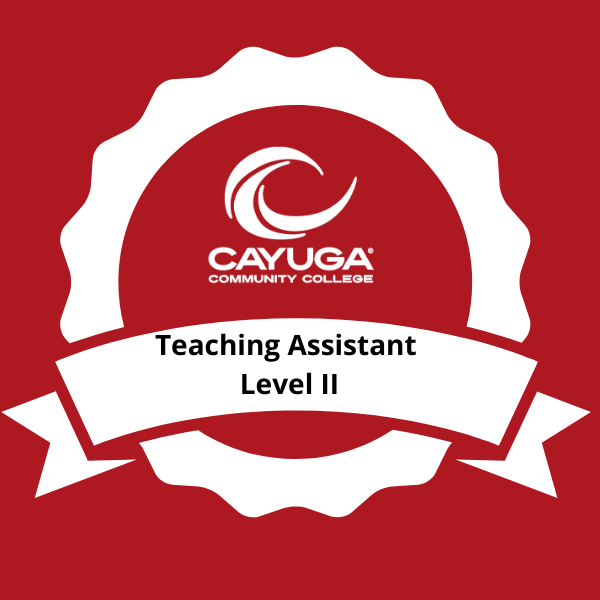 Teaching Assistant Level II